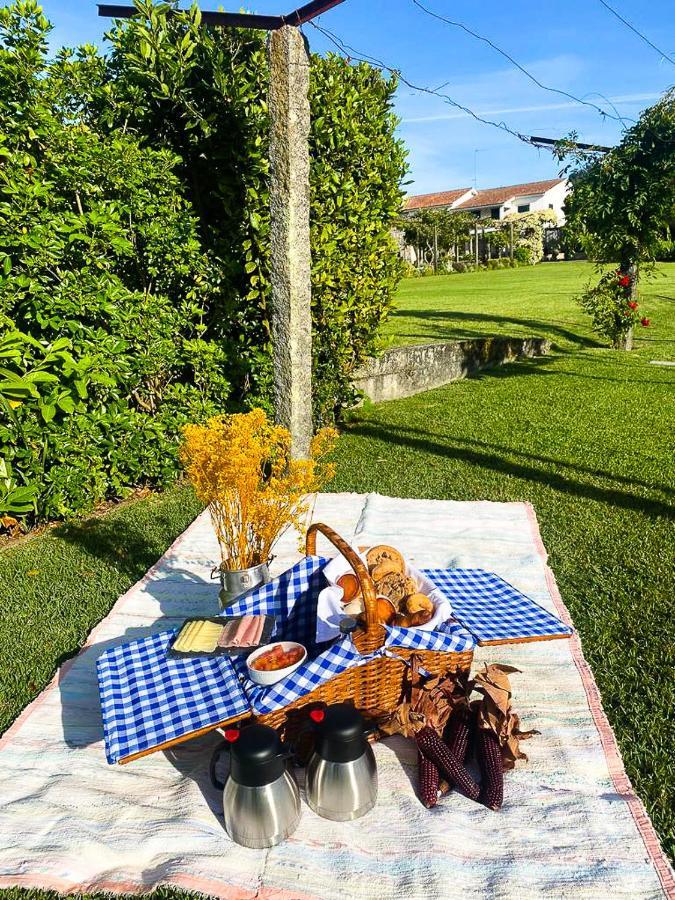 Quinta Dom Sapo - Agroturismo 비아나도카스텔로 외부 사진